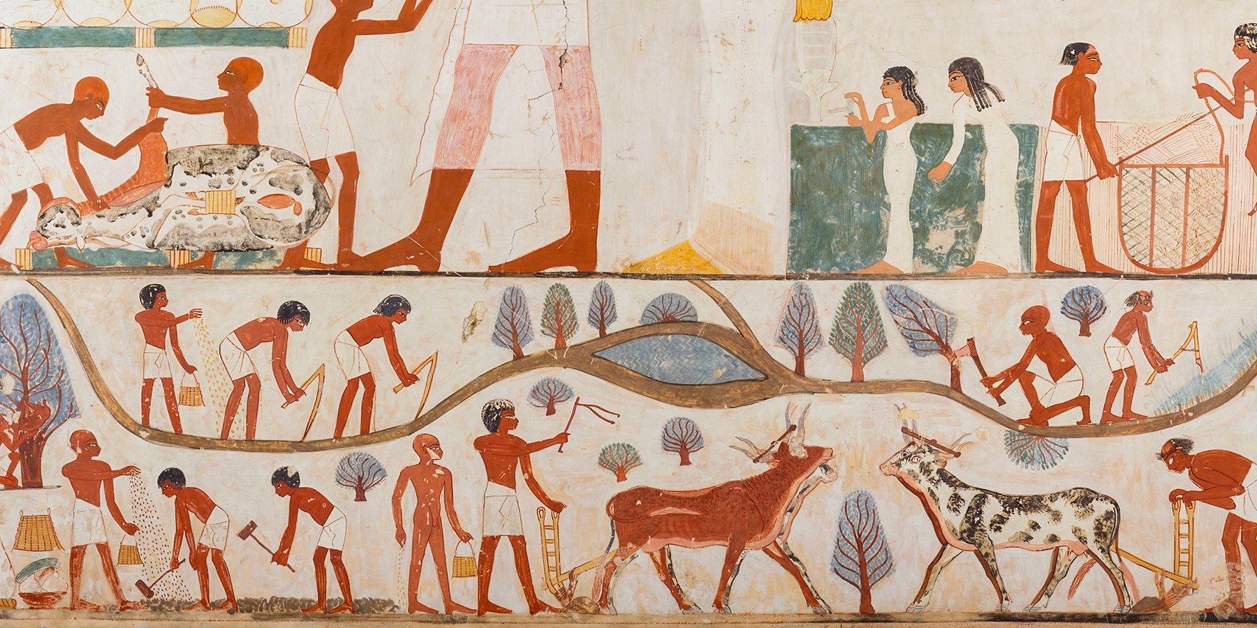 Фрески древнего Египта скотоводство