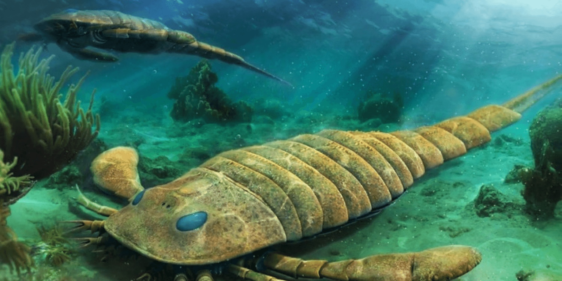 Древнейшее морское. Ракоскорпион силурийского периода. Ракоскорпион Ордовик. Ракоскорпион эвриптерус. Ракоскорпионы протерозоя.